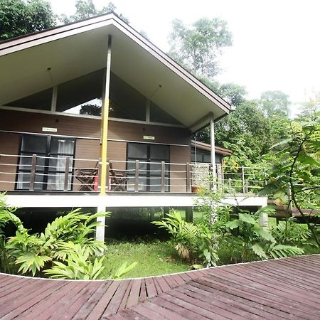 Hotel Mulu National Park Exterior foto