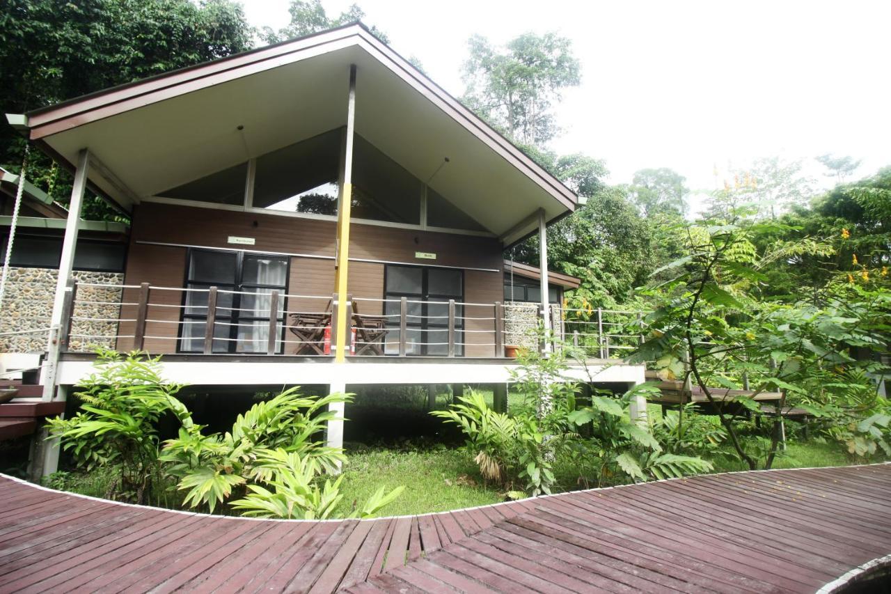 Hotel Mulu National Park Exterior foto