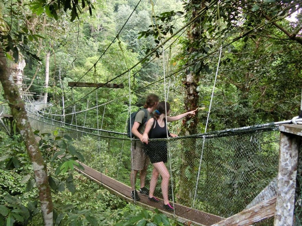 Hotel Mulu National Park Exterior foto