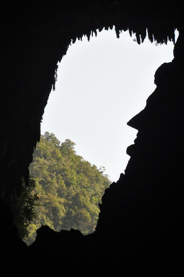 Hotel Mulu National Park Exterior foto